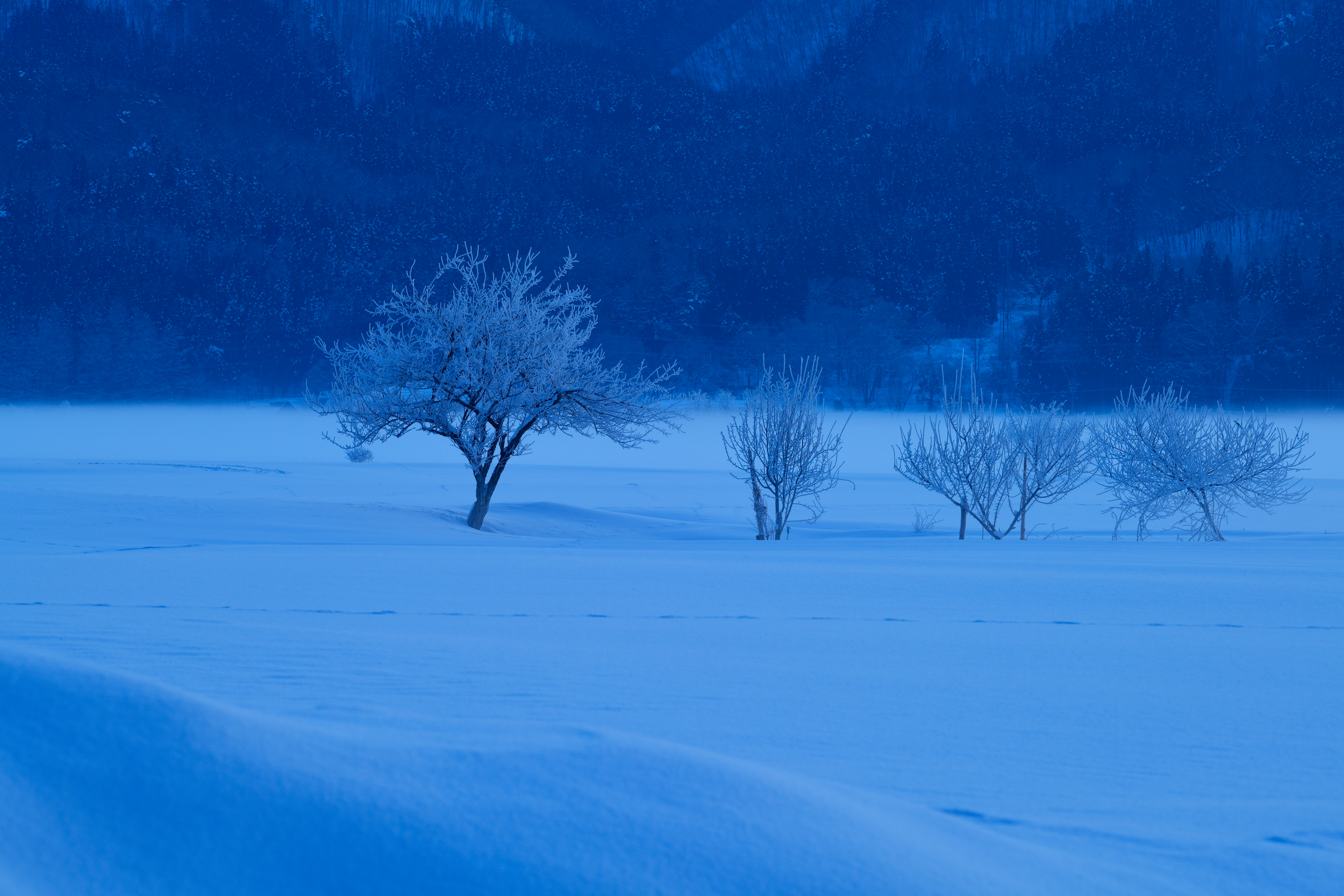 撮影：星野佑佳<br><span class="fnt-85">ニコン D850 / AF-S NIKKOR 70-200mm f/2.8E FL ED VR / 150mm / 絞り優先AE（F11・2.5秒・-0.3EV） / ISO 100</span>