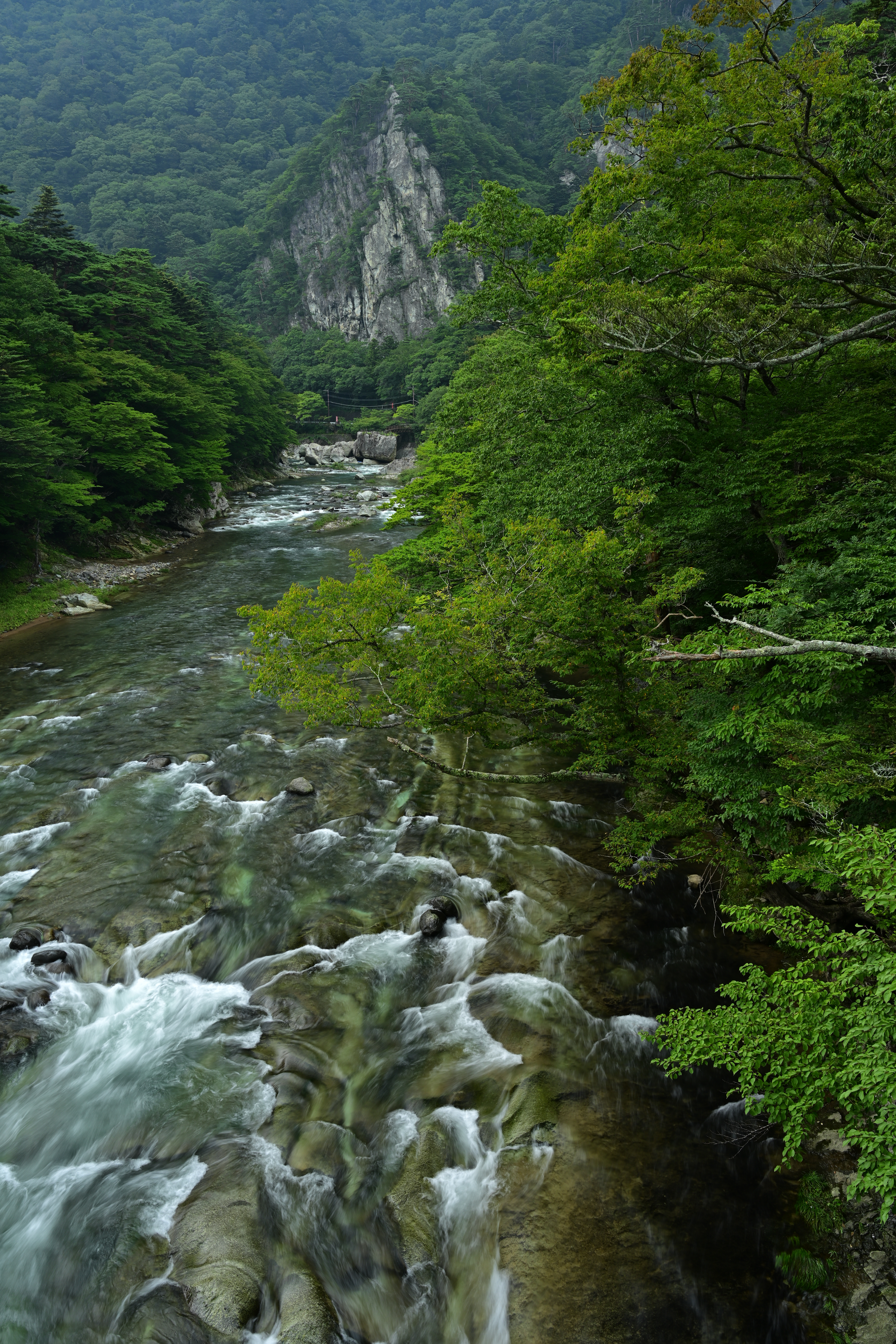 Z 7 / NIKKOR Z 24-70mm f/4 S / 26mm / 絞り優先AE（1/5秒・F8・-0.7EV） / ISO 64 / ピクチャーコントロール：ビビッド / WB：晴天