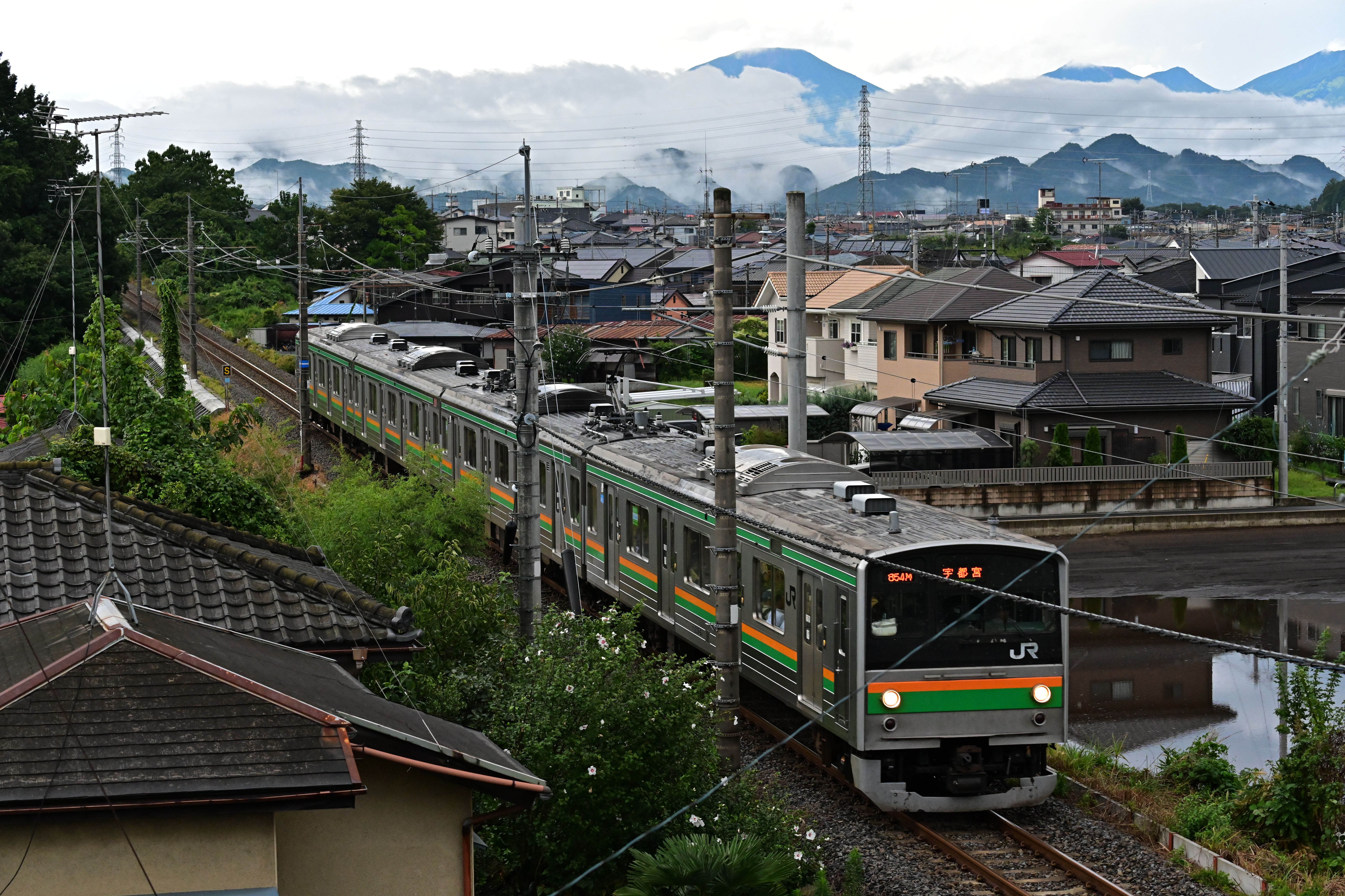 Z 7 / AF-P NIKKOR 70-300mm f/4.5-5.6E ED VR / 300mm / マニュアル（1/500秒・F8・-0.7EV） / ISO 3200 / ピクチャーコントロール：ビビッド / WB：オート