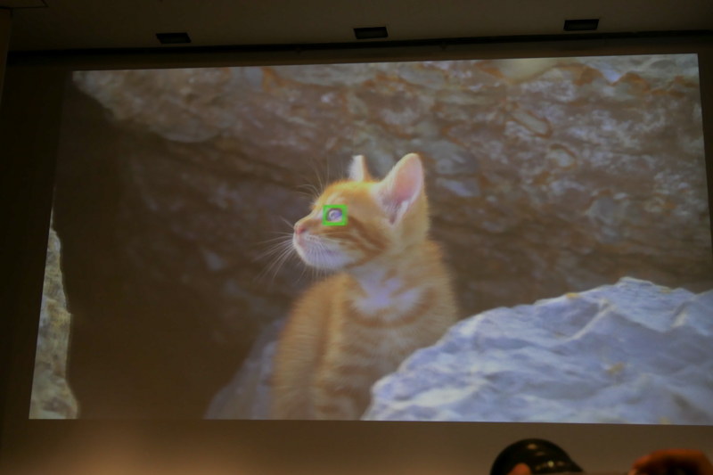 プレスカンファレンスで上映された「瞳AF」の動物対応イメージ。