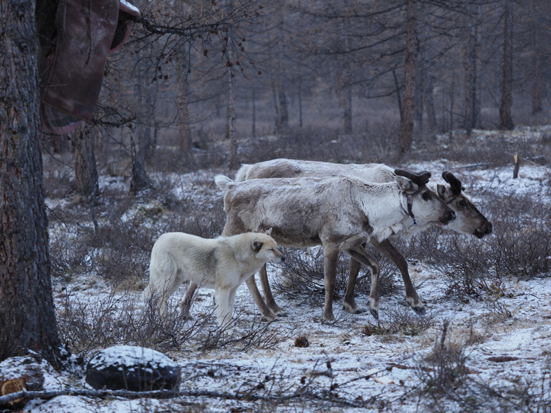 撮影：清水哲朗<br><span class="fnt-85">OLYMPUS E-M1 Mark II / M.ZUIKO DIGITAL ED 40-150mm F2.8 PRO / 73mm（146mm相当） / 絞り優先AE（F2.8・1/640秒・-0.3EV） / ISO 400</span>