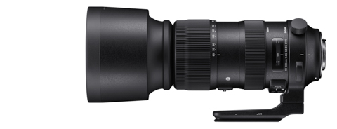 レンズ(ズーム) SIGMA 60-600mm F4.5-6.3DG OS HSM  sports レンタル] シグマ 60-600mm F4.5-6.3 DG OS HSM Sports 望遠ズーム