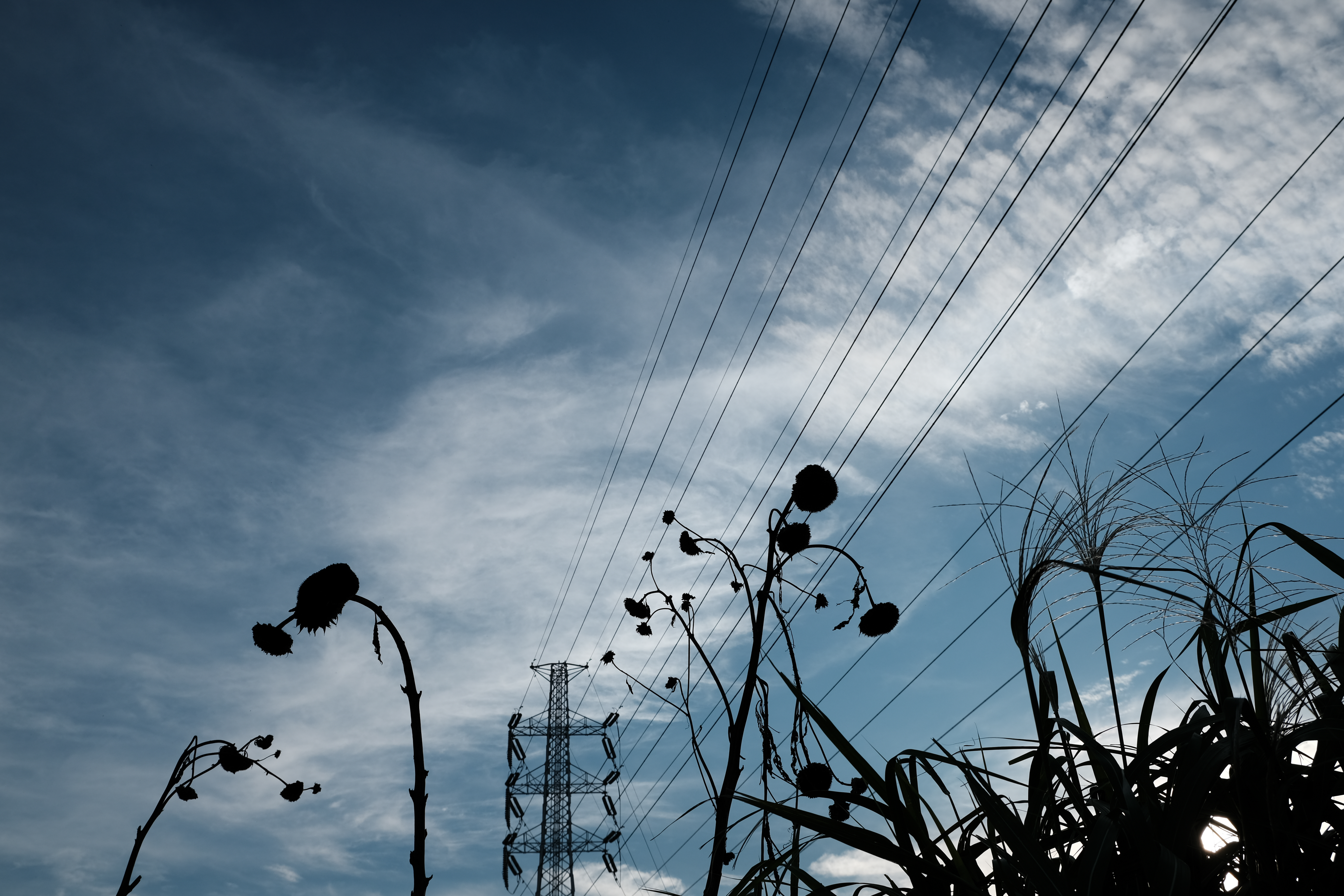 X-T3 / XF18-55mmF2.8-4 R LM OIS / 30.2mm（35mm判換算45mm相当） /ノーマルプログラムAE（1/950秒・F7.1・±0EV） / ISO 160 / フィルムシミュレーション：クラシッククローム / ハイライト +1 / シャドー +1