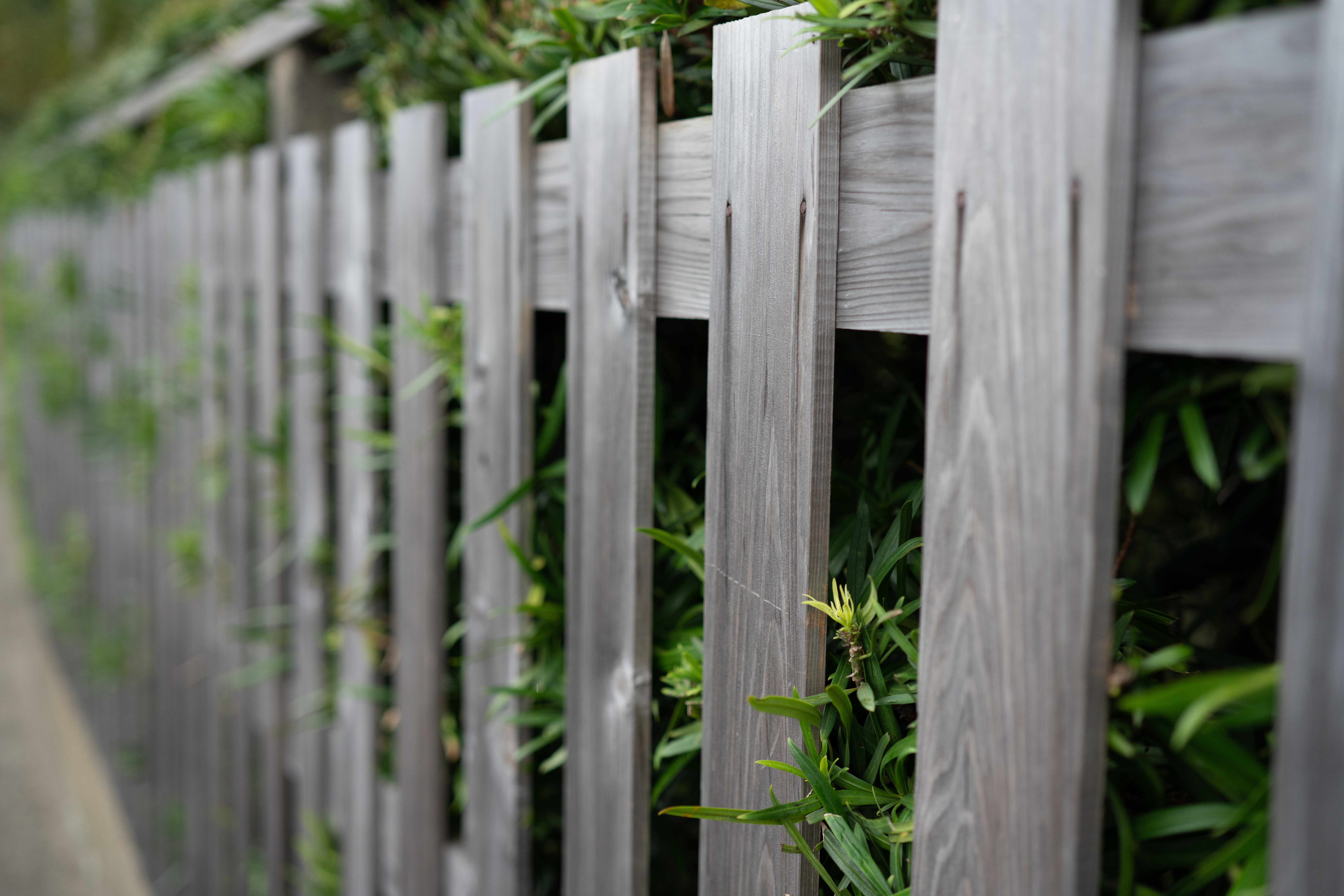 ソニー α7R III / ZEISS Batis 2/40 CF / 40mm / 絞り優先AE（1/1000秒・F2.0・-0.3EV） / ISO 400