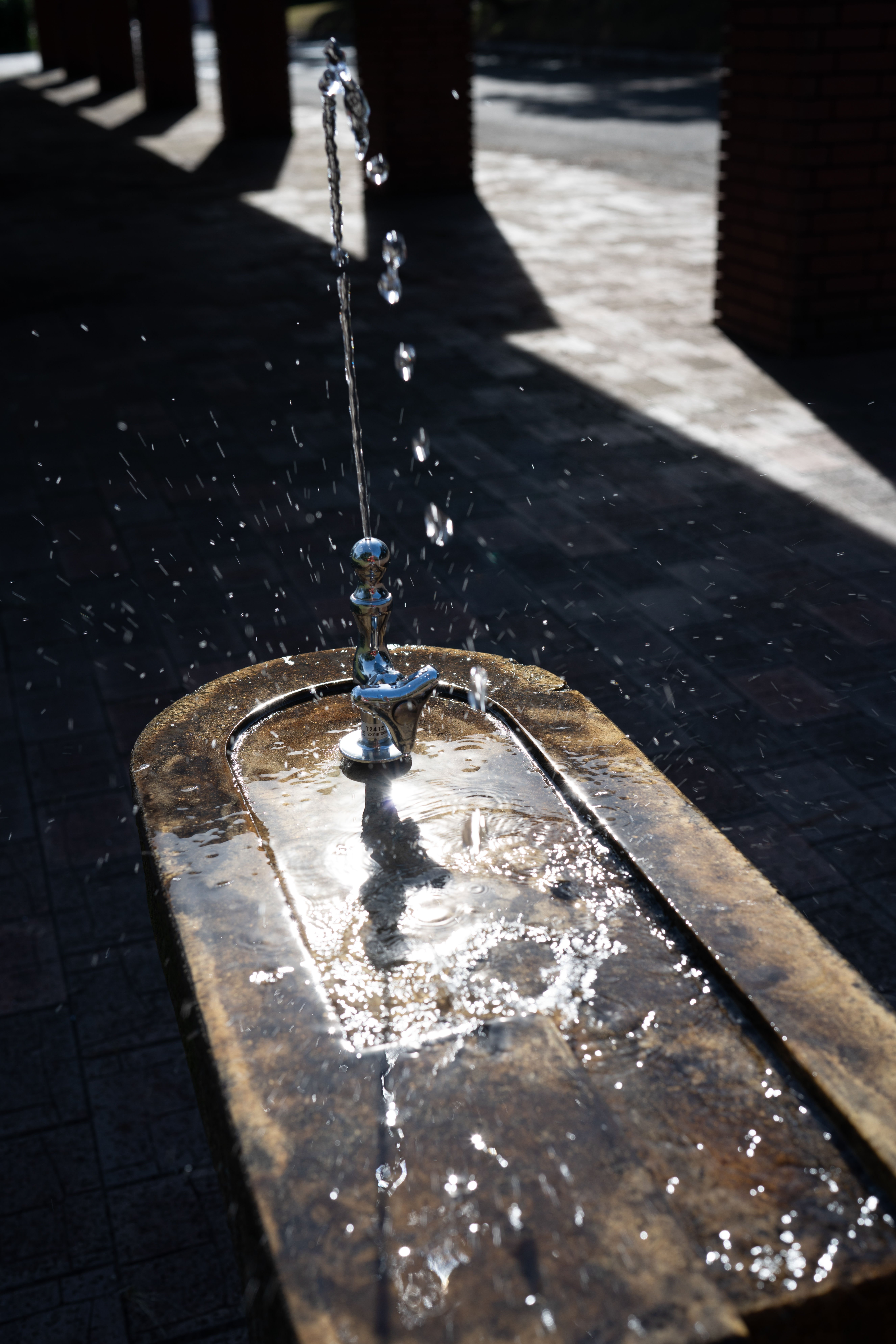 ソニー α7R III / ZEISS Batis 2/40 CF / 40mm / 絞り優先AE（1/320秒・F4.5・-0.3EV） / ISO 100