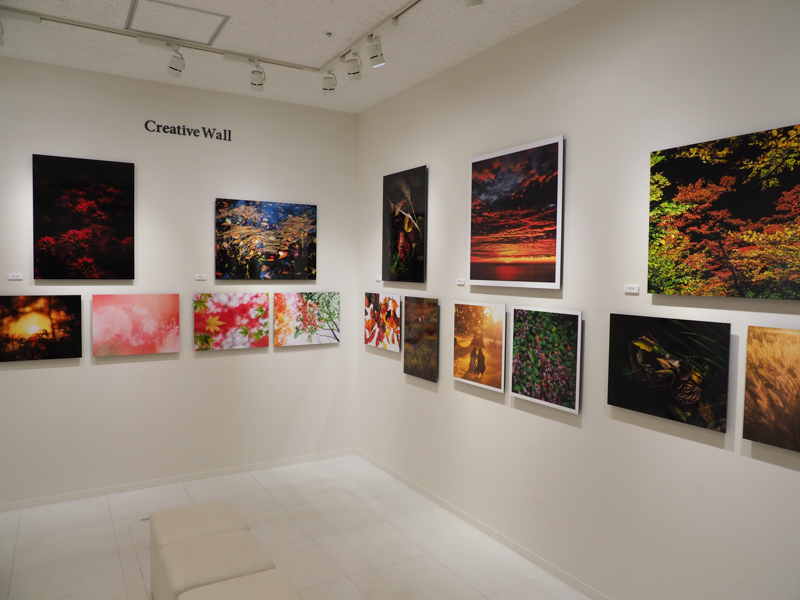 オリンパスプラザ東京での展示の様子。