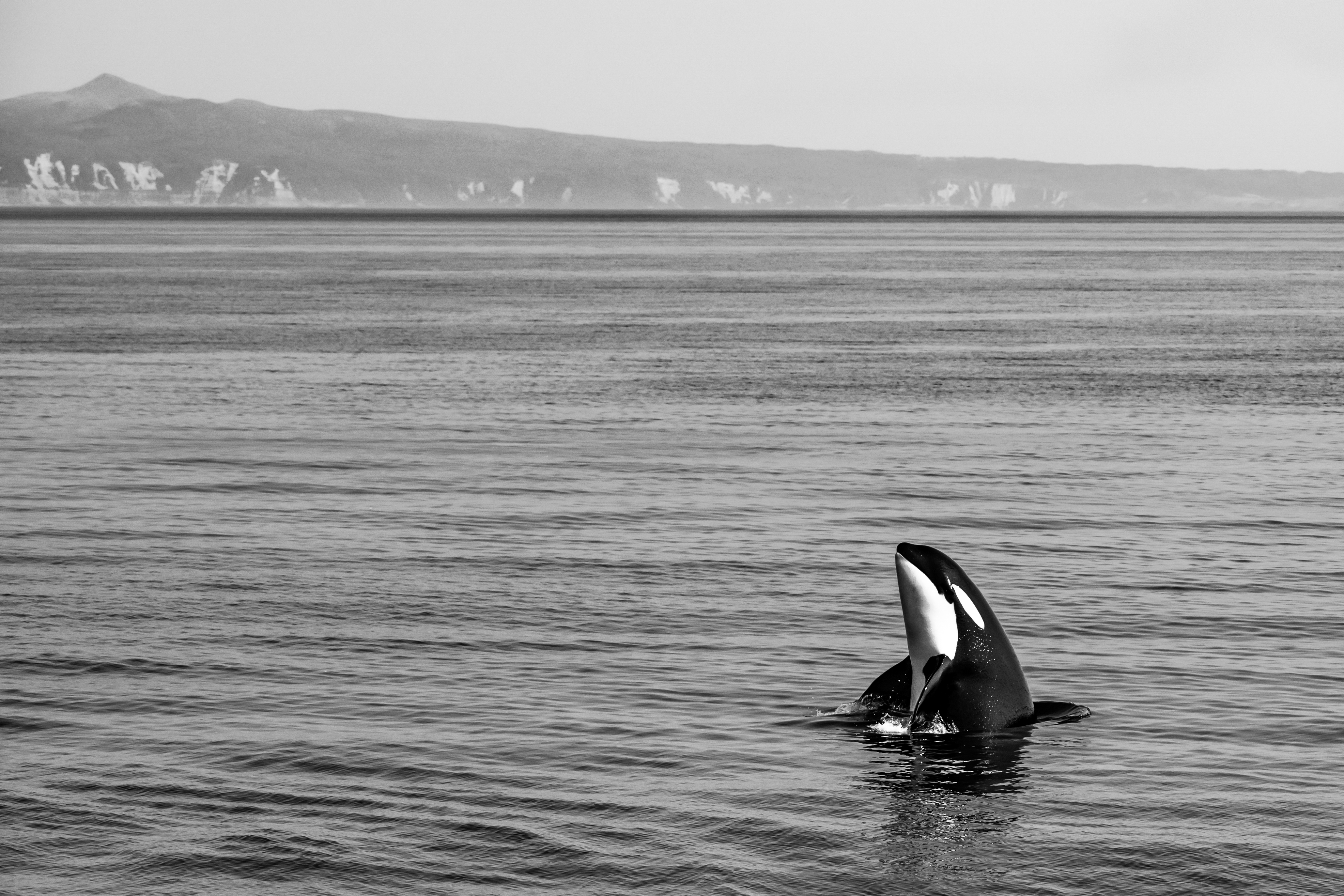 撮影：半田菜摘<br><span class="fnt-85">ニコン D850 / AF-S NIKKOR 80-400mm f/4.5-5.6G ED VR / 100mm / マニュアル露出（F6.3・1/1000秒） / ISO 320</span>