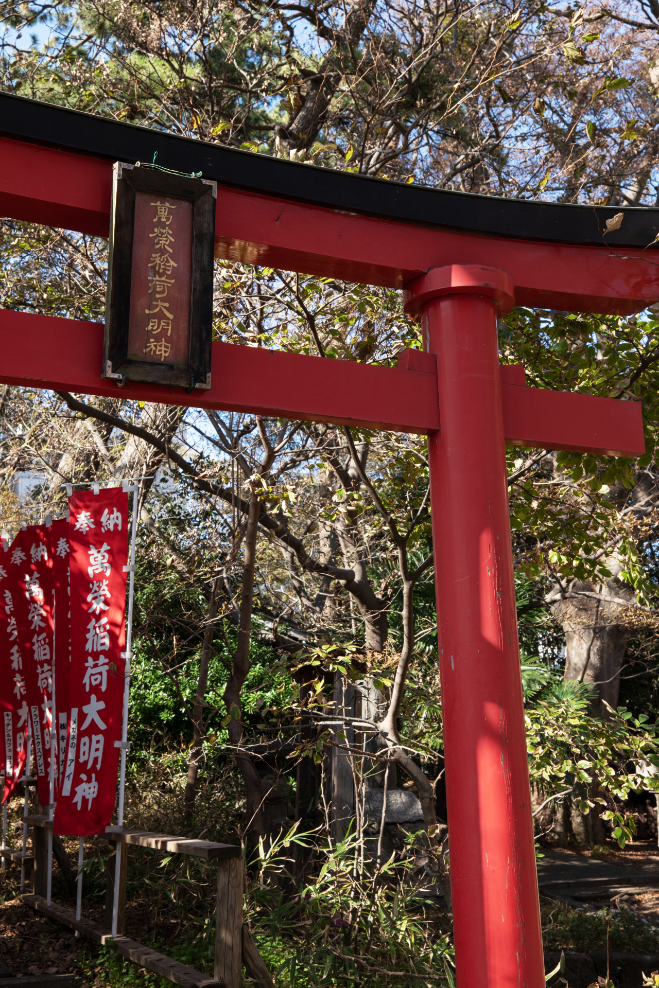 ズーム位置で画質が変化することはなく、どの画角でも撮れるクオリティは同じだ。ライカCL / ISO100 / F8.0 / 1/60秒 / WB:オート / 28mm