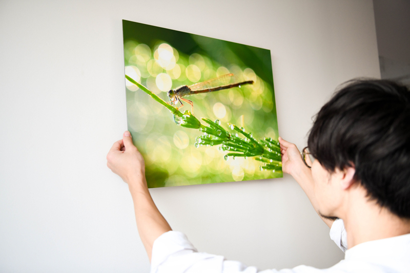 ミュージアム加工の例