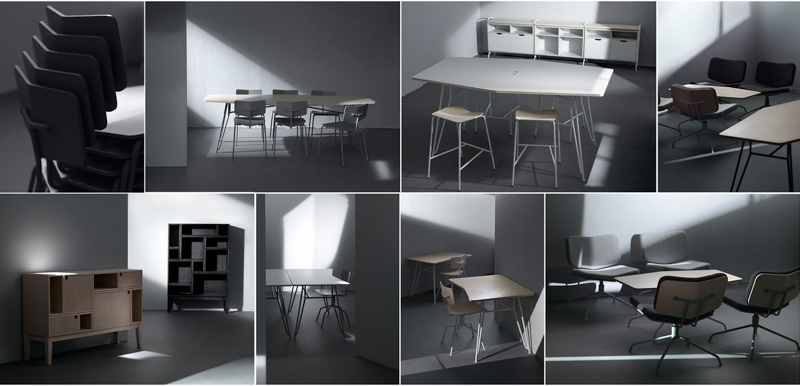 撮影：David Bicho