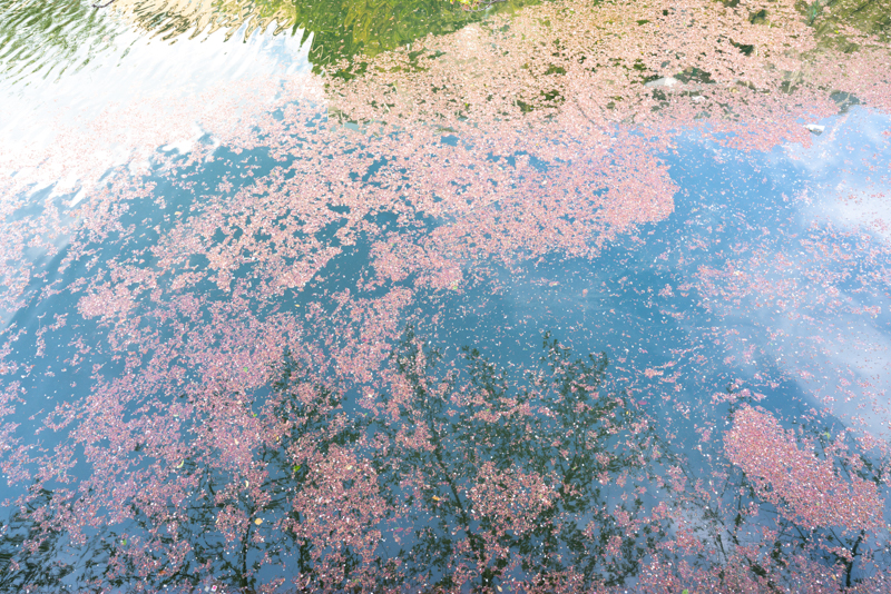 撮影：大村祐里子<br>α7R III / FE 16-35mm F2.8 GM / 20mm / マニュアル露出（1/50秒・F4.0） / ISO 400