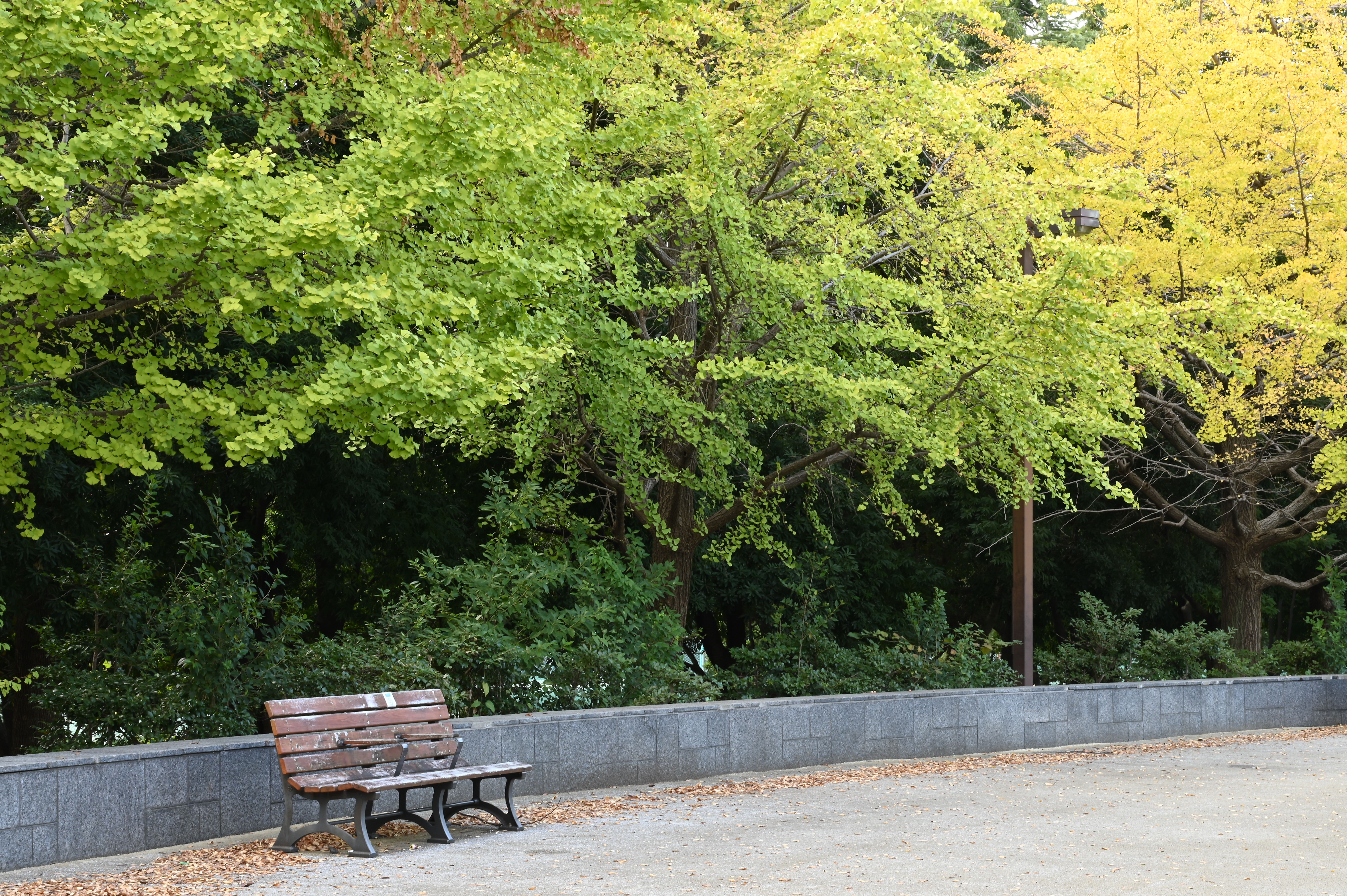 <center>回折補正ON</center>