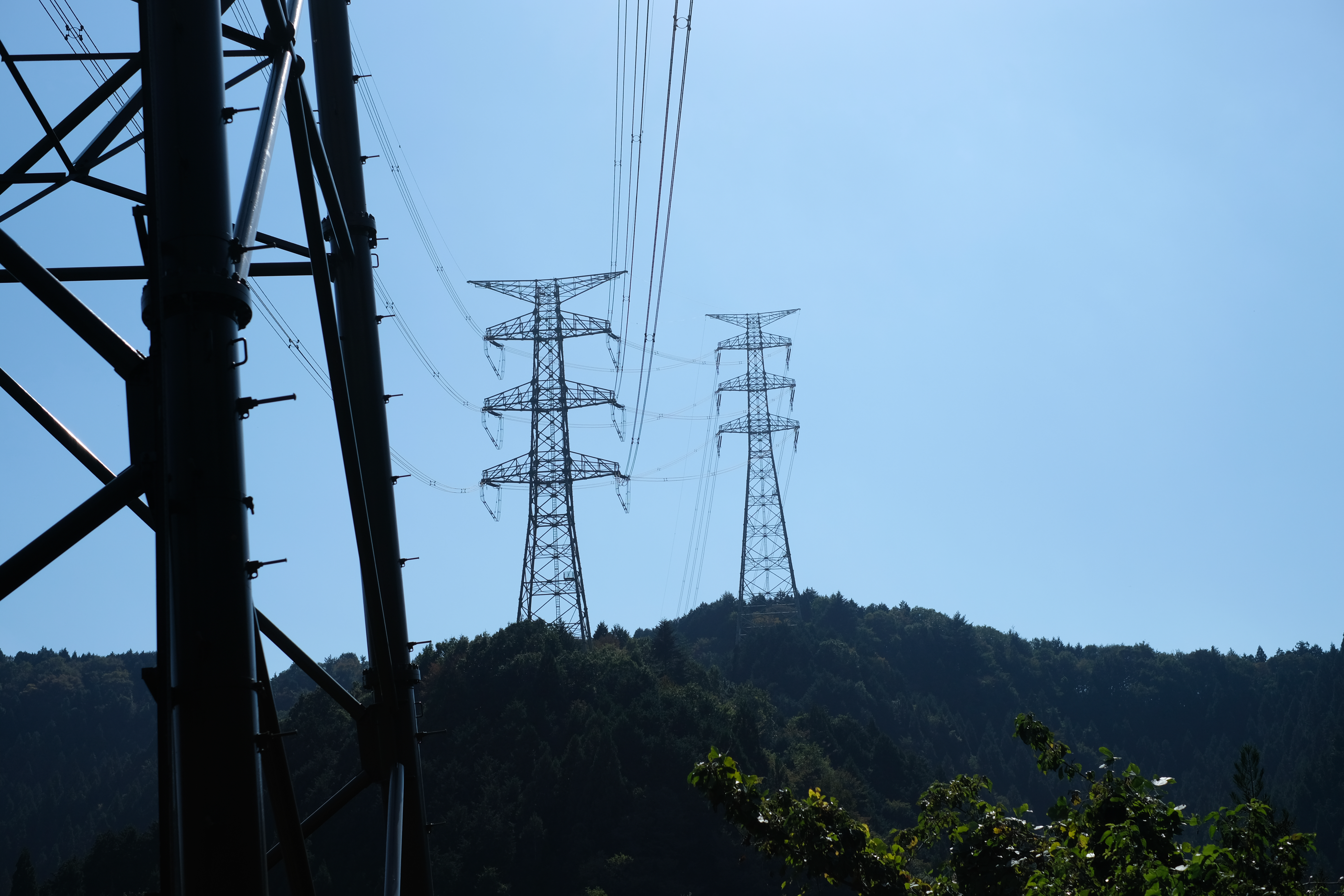 自然豊かでありながら、里山であるが故に、随所に人の手が入っている。その微妙なバランスが高尾山。<br>X-H1 / XF35mmF1.4 R / 35mm（53mm相当） / 絞り優先AE（1/5,800秒・F3.6・±0.0EV） / ISO 200