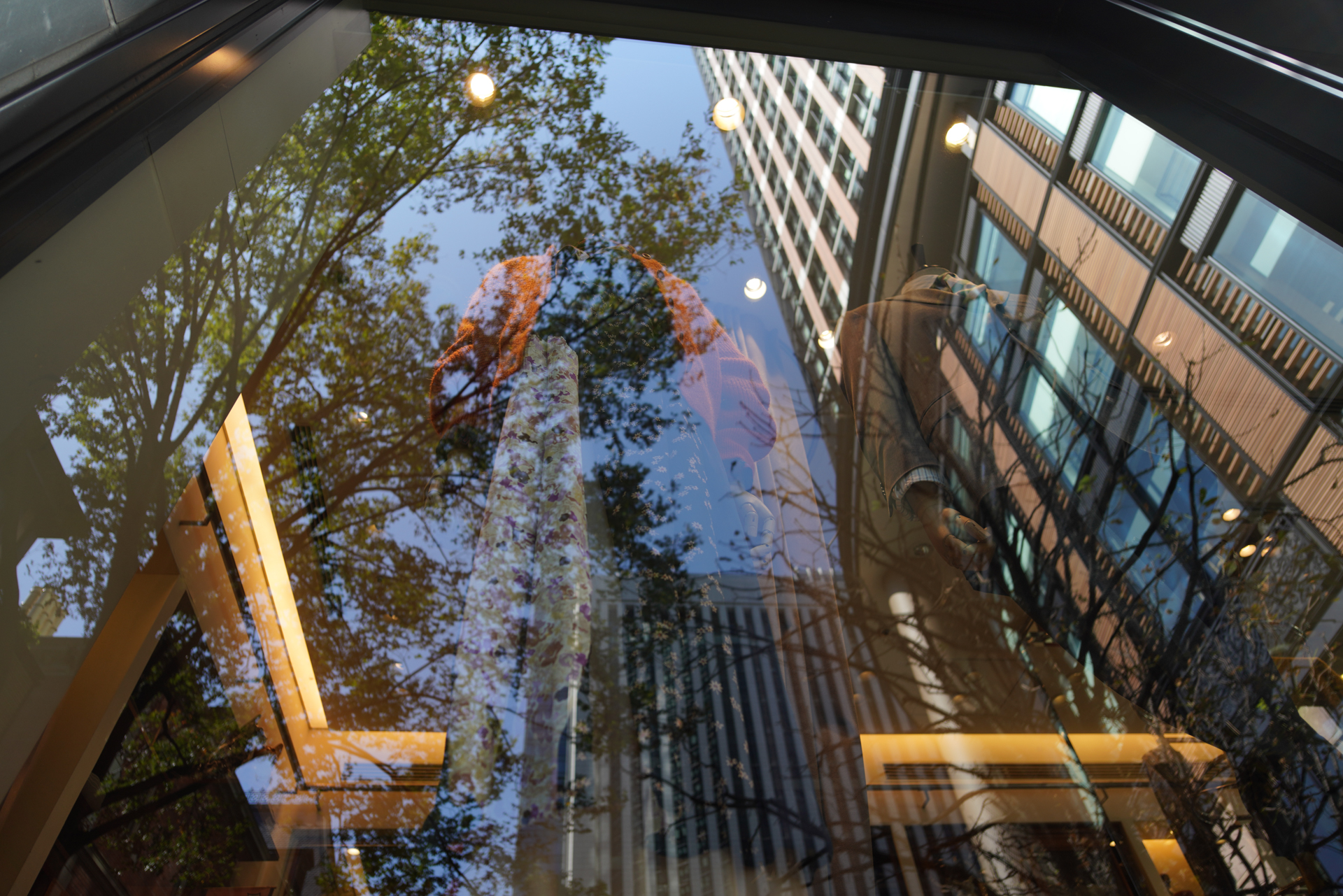 α7R III / ISO 100 / F3.5 /  1/200秒