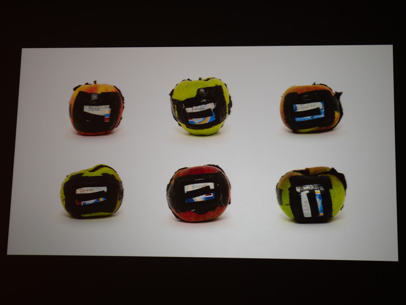 作品の製作にあたり「使い終わったカメラ（リンゴ）は自分で食べきる」というルールを作った