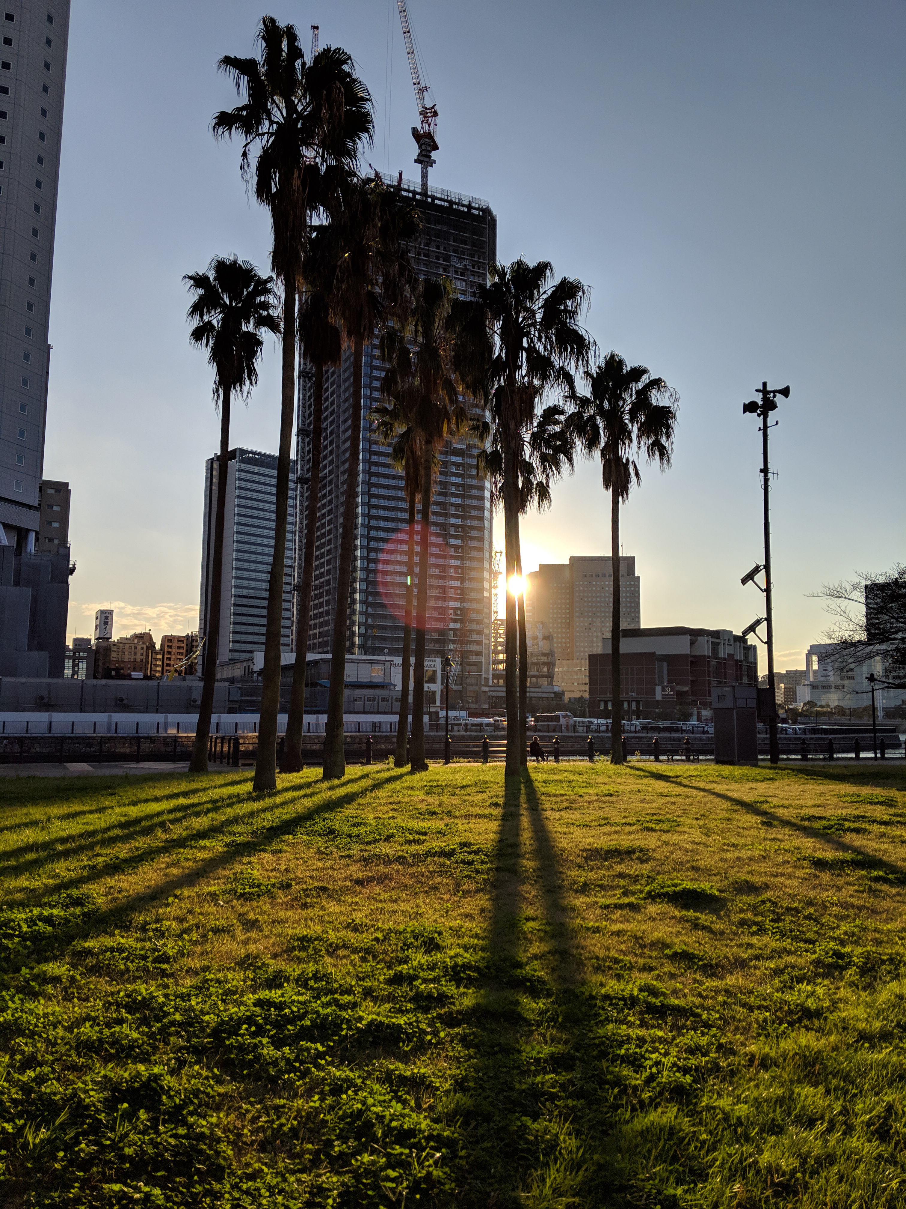 Google Pixel 3 / 4.44mm（27mm相当） / ノーマルプログラム（1/7,800秒・F1.8・±0EV） / ISO 82