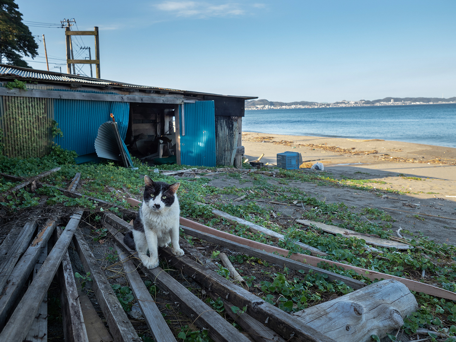 撮影：郡川正次<br><span class="fnt-85">OLYMPUS OM-D E-M1 Mark II / M.ZUIKO DIGITAL ED 7-14mm F2.8 PRO / 14mm（35mm判換算28mm） / 絞り優先AE（F4.0・1/350秒・±0EV） / ISO 400</span>