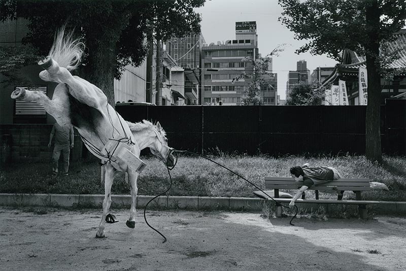 撮影：宮崎豊さん