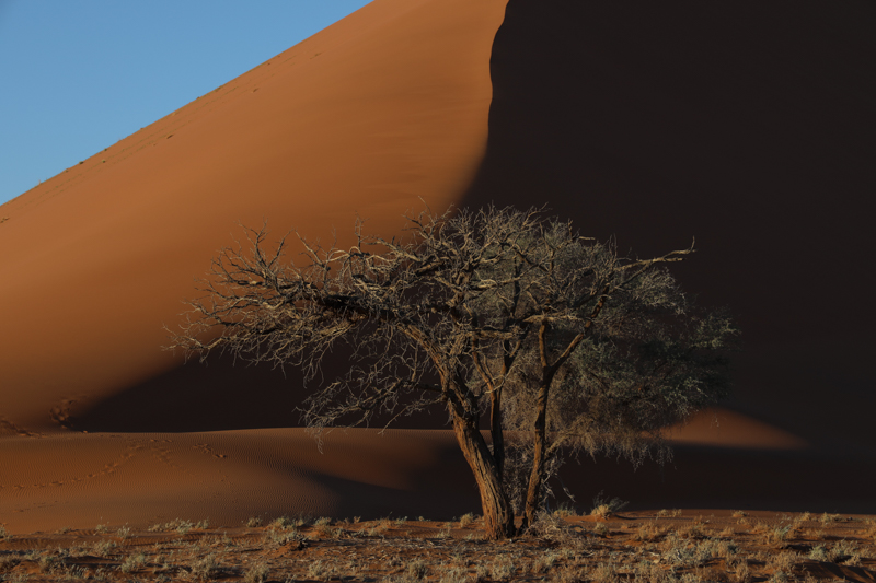 撮影：南雲暁彦<br>EOS R / RF24-105mm F4 L IS USM / 105mm / 絞り優先AE（1/200秒・F8・-1.7EV） / ISO 100