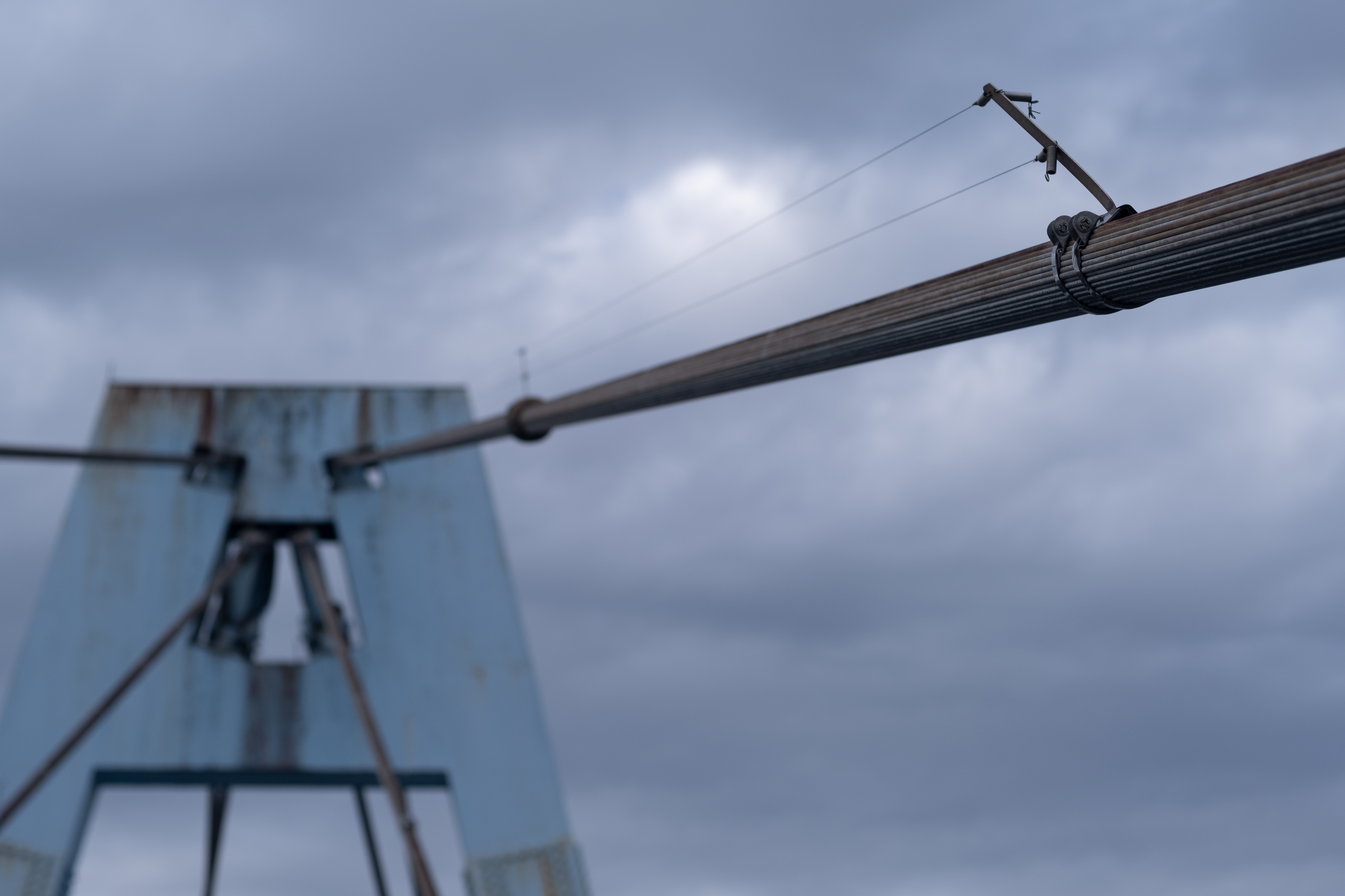 FUJIFILM X-T3 / キヤノンEF50mm F1.8 STM + Fringer FR-FX1 / 75mm相当 / 絞り優先AE（1/1000秒・F4・+0.7EV）ISO 160 / AWB