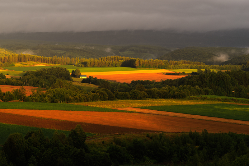 PENTAX K-1 / smc PENTAX-DA★200mmF2.8ED[IF] SDM / F11 / 1/13秒 / ISO 400 / リアル・レゾリューション・システム使用 / PLフィルター使用