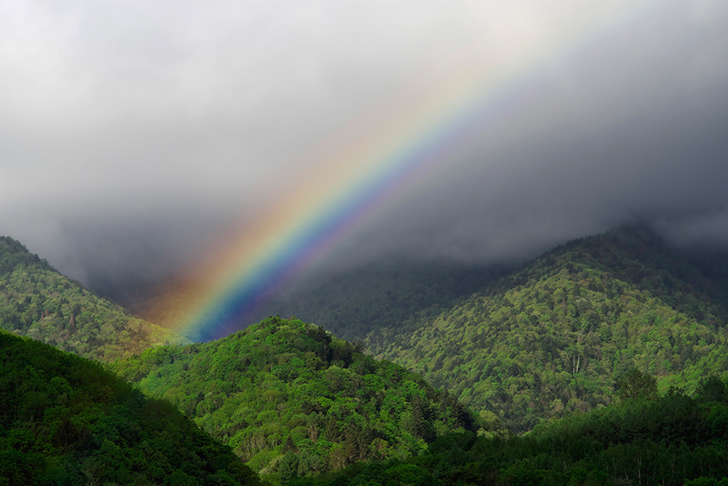 PENTAX K-1 Mark II / HD PENTAX-D FA 28-105mmF3.5-5.6ED DC WR / 105mm / F16 / 1/80秒 / ISO 400 / リアル・レゾリューション・システム使用 / PLフィルター使用