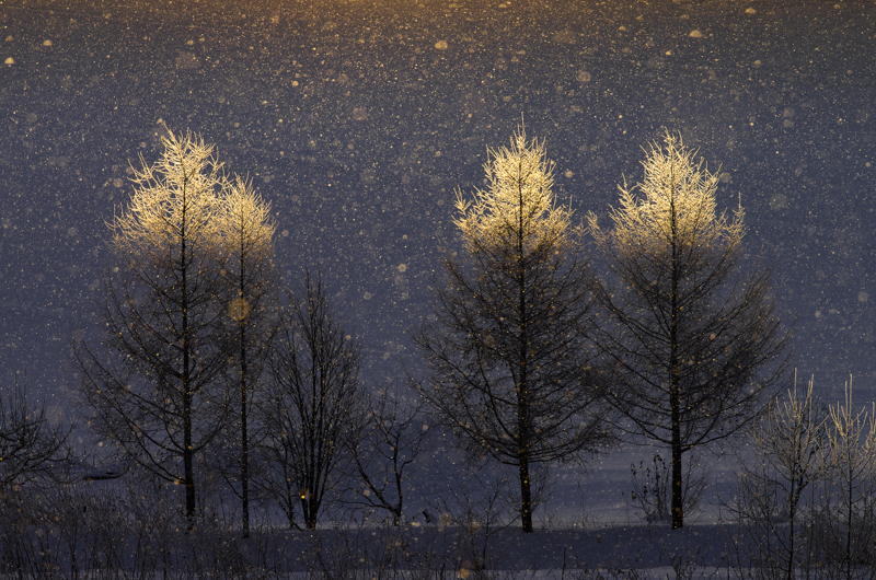 PENTAX K-5 / smc PENTAX-DA★300mmF4ED[IF] SDM / 300mm / F11 / 1/400秒 / ISO 200 / PLフィルター使用