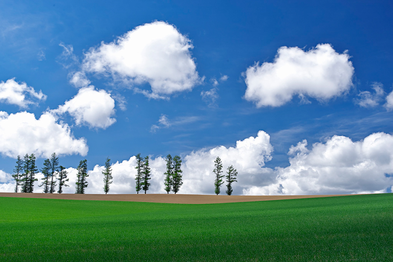 PENTAX K-1 Mark II / HD PENTAX-D FA 28-105mmF3.5-5.6ED DC WR / 40mm / F16 / 1/80秒 / ISO 400 / リアル・レゾリューション・システム使用 / PLフィルター使用