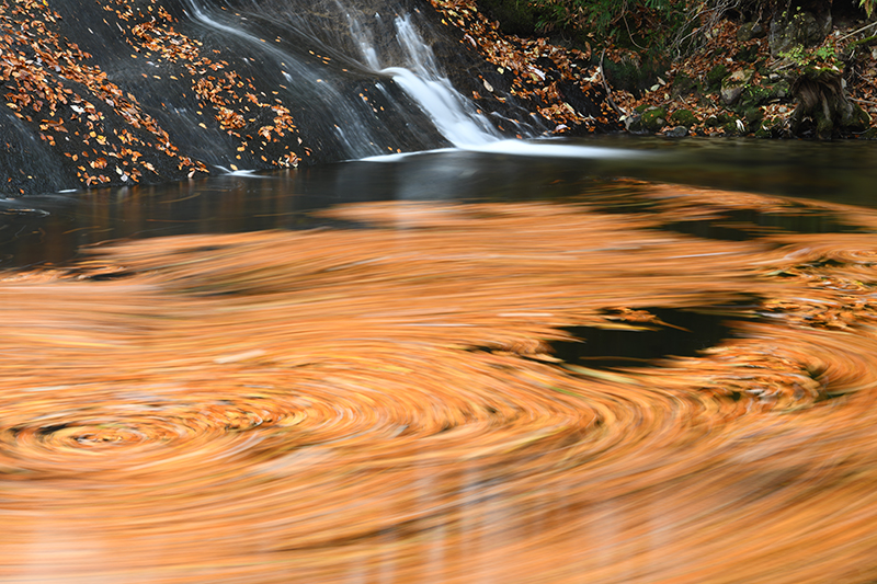 明るいとコクが感じられない