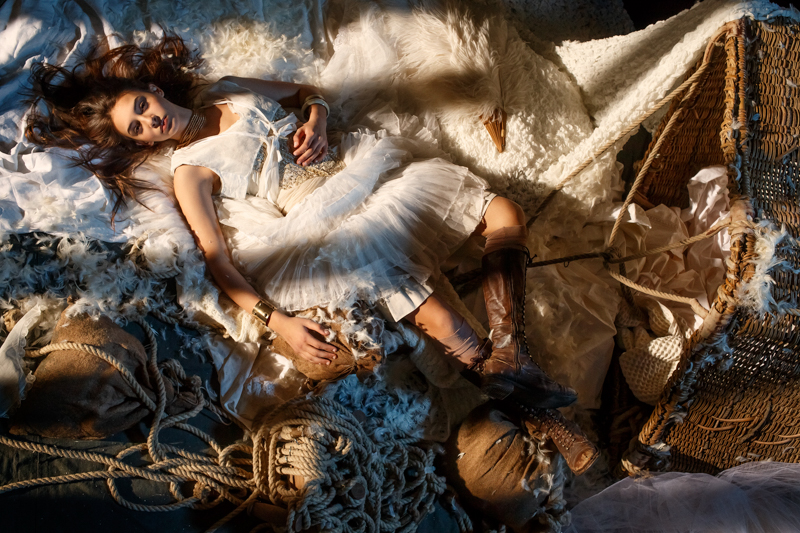 資料提供：プロフォト株式会社