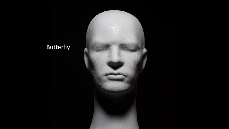 資料提供：プロフォト株式会社