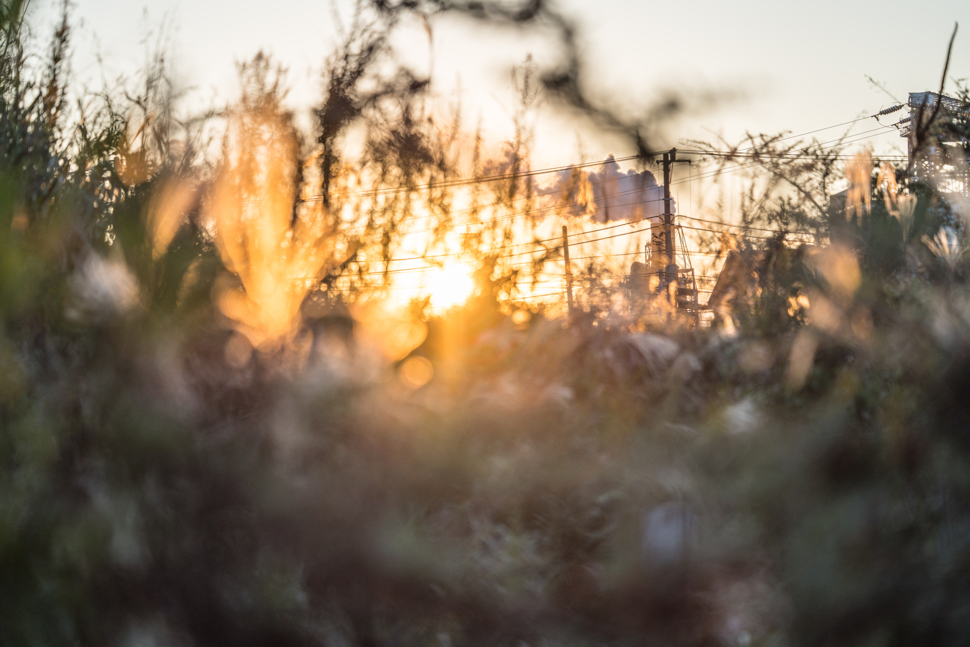 α7R III / ISO 100 / F2.5 / 1/1,000秒