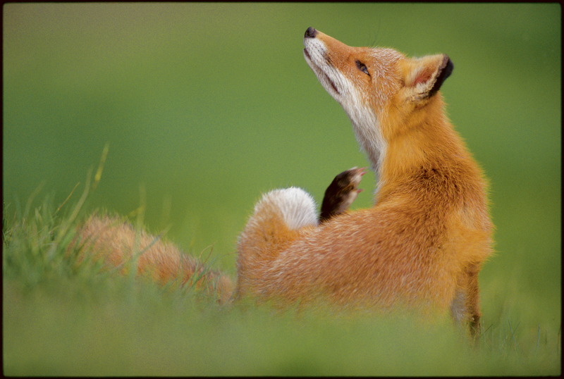 撮影：竹田津実