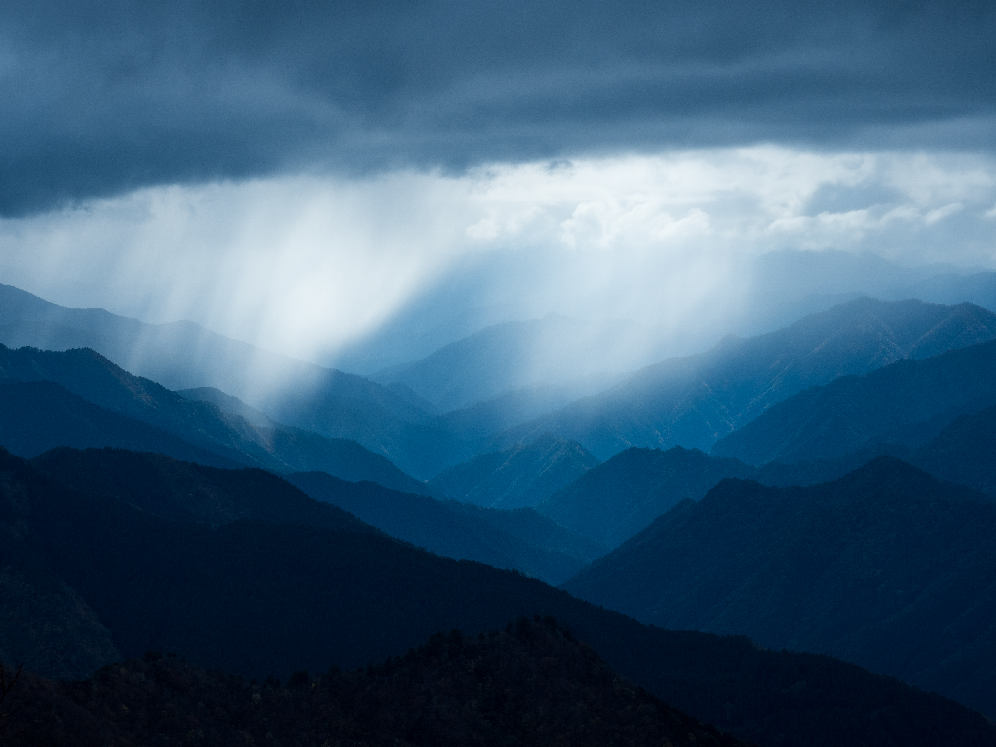 撮影：西岡潔<br><span class="fnt-85">OLYMPUS OM-D E-M1 Mark II / M.ZUIKO DIGITAL ED 12-100mm F4.0 IS PRO / 54mm相当 / マニュアル露出（F8.0・1/640秒） / ISO 200</span>