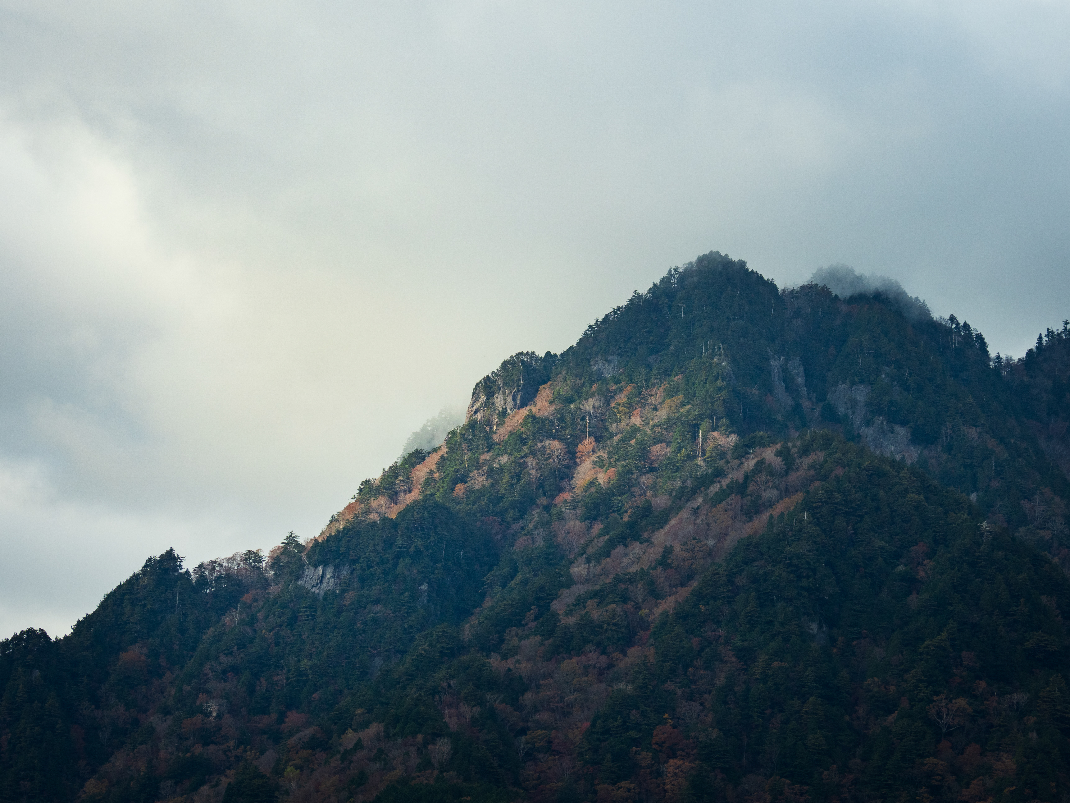 撮影：西岡潔<br><span class="fnt-85">OLYMPUS OM-D E-M1 Mark II / M.ZUIKO DIGITAL ED 12-100mm F4.0 IS PRO / 100mm相当 / マニュアル露出（F8.0・1/200秒） / ISO 200</span>