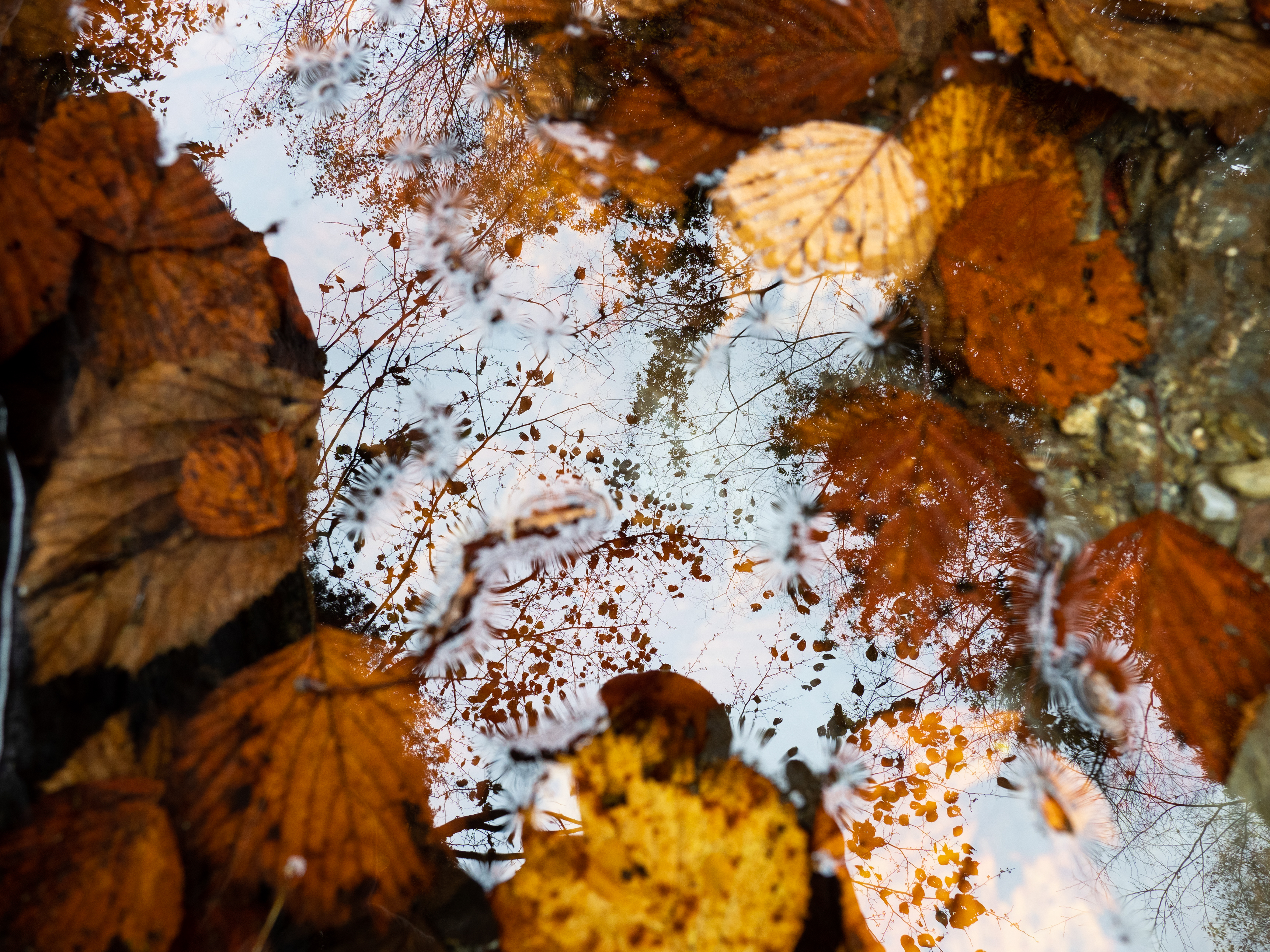 撮影：西岡潔<br><span class="fnt-85">OLYMPUS OM-D E-M1 Mark II / M.ZUIKO DIGITAL ED 12-100mm F4.0 IS PRO / 12mm相当 / マニュアル露出（F2.8・1/4,000秒） / ISO 200</span>