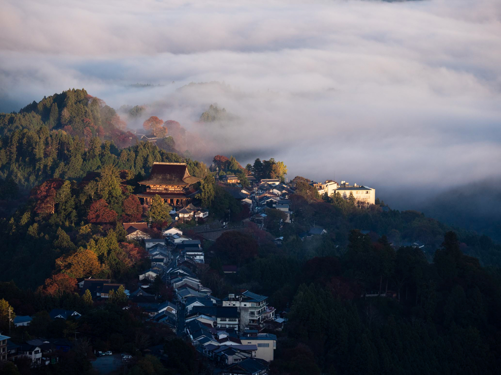 撮影：西岡潔<br><span class="fnt-85">OLYMPUS OM-D E-M1 Mark II / M.ZUIKO DIGITAL ED 12-100mm F4.0 IS PRO / 100mm相当 / マニュアル露出（F4.0・1/1,000秒） / ISO 200</span>