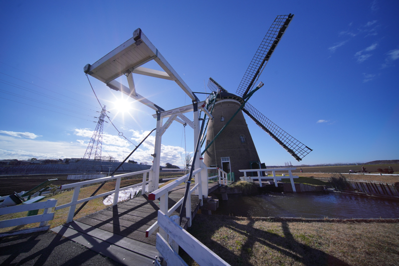 SONY α7R III / LAOWA FE 10-18mm F4.5-5.6 C-Dreamer Ultra Wide Zoom / 1/1,600秒 / F8 / -0.3EV / ISO 400 / 絞り優先AE / 10mm