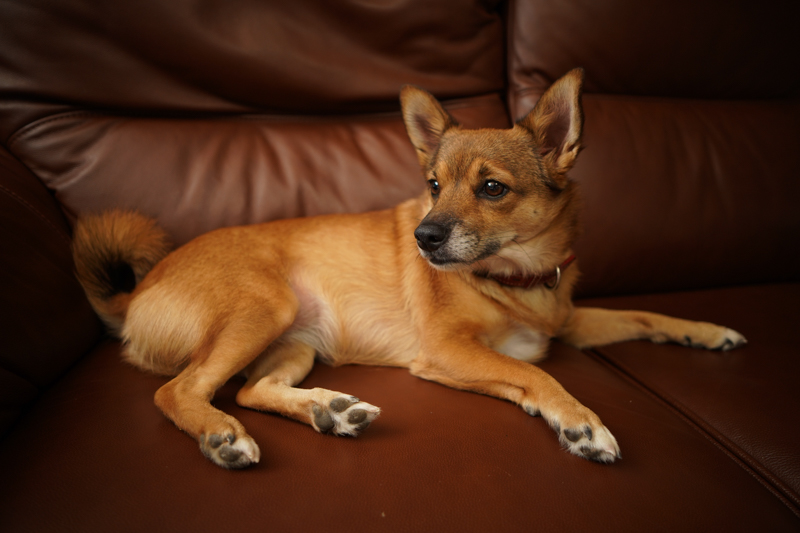 ソニーα7 III / SAMYANG AF 24mmF2.8 FE / 1/100秒 / F2.8 / ±0EV / ISO 400 / マニュアル露出