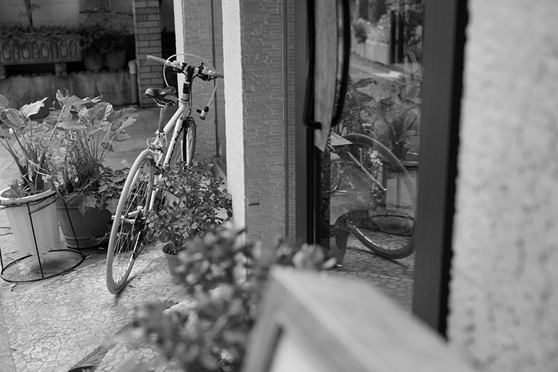 PENTAX K-1 Mark II / HD PENTAX-D FA★50mmF1.4 SDM AW / 1/500秒 / F2.5 / -0.7EV / ISO AUTO / 絞り優先AE/ 50mm