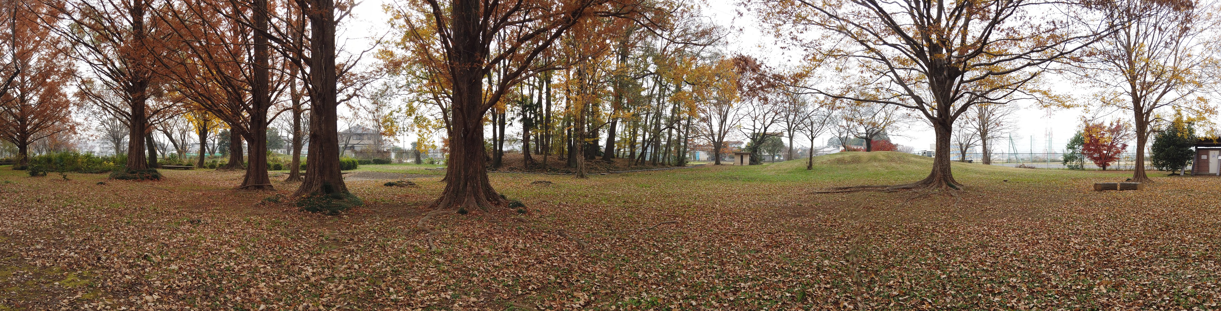 180度パノラマ作例