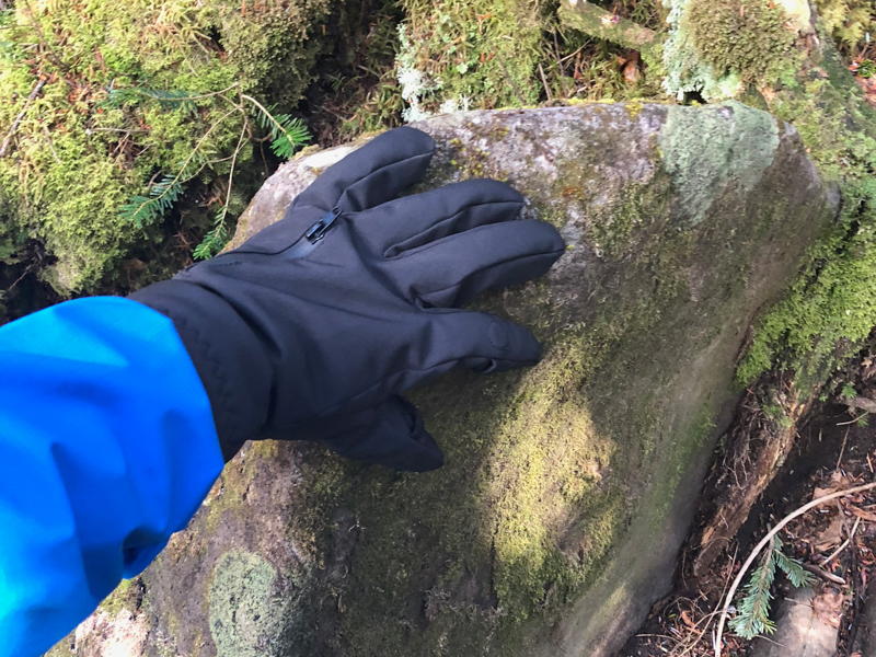 濡れた岩やささくれだった木肌にふれても平気。