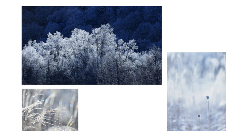 撮影：吉住志穂（トークショー資料より）