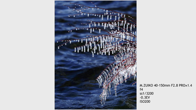 撮影：今浦友喜（トークショー資料より）