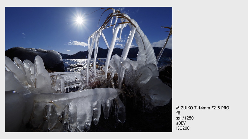 撮影：今浦友喜（トークショー資料より）