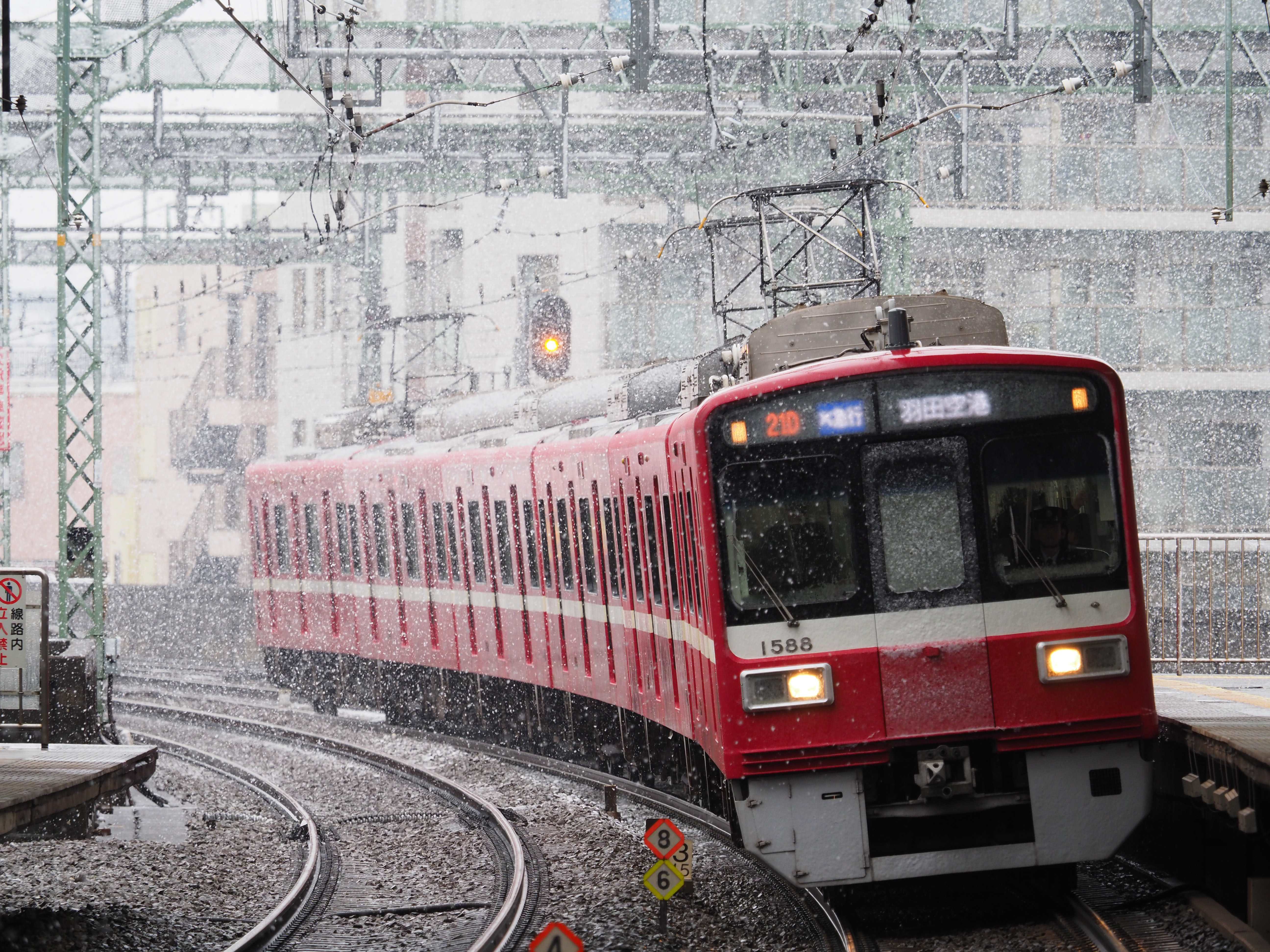 撮影：三橋康弘<br><span class="fnt-85">OLYMPUS OM-D E-M1 Mark II / M.ZUIKO DIGITAL ED 40-150mm F2.8 PRO + Teleconverter MC-14 / 210mm / 絞り優先AE（F4・1/320秒・±0EV） / ISO 400</span>