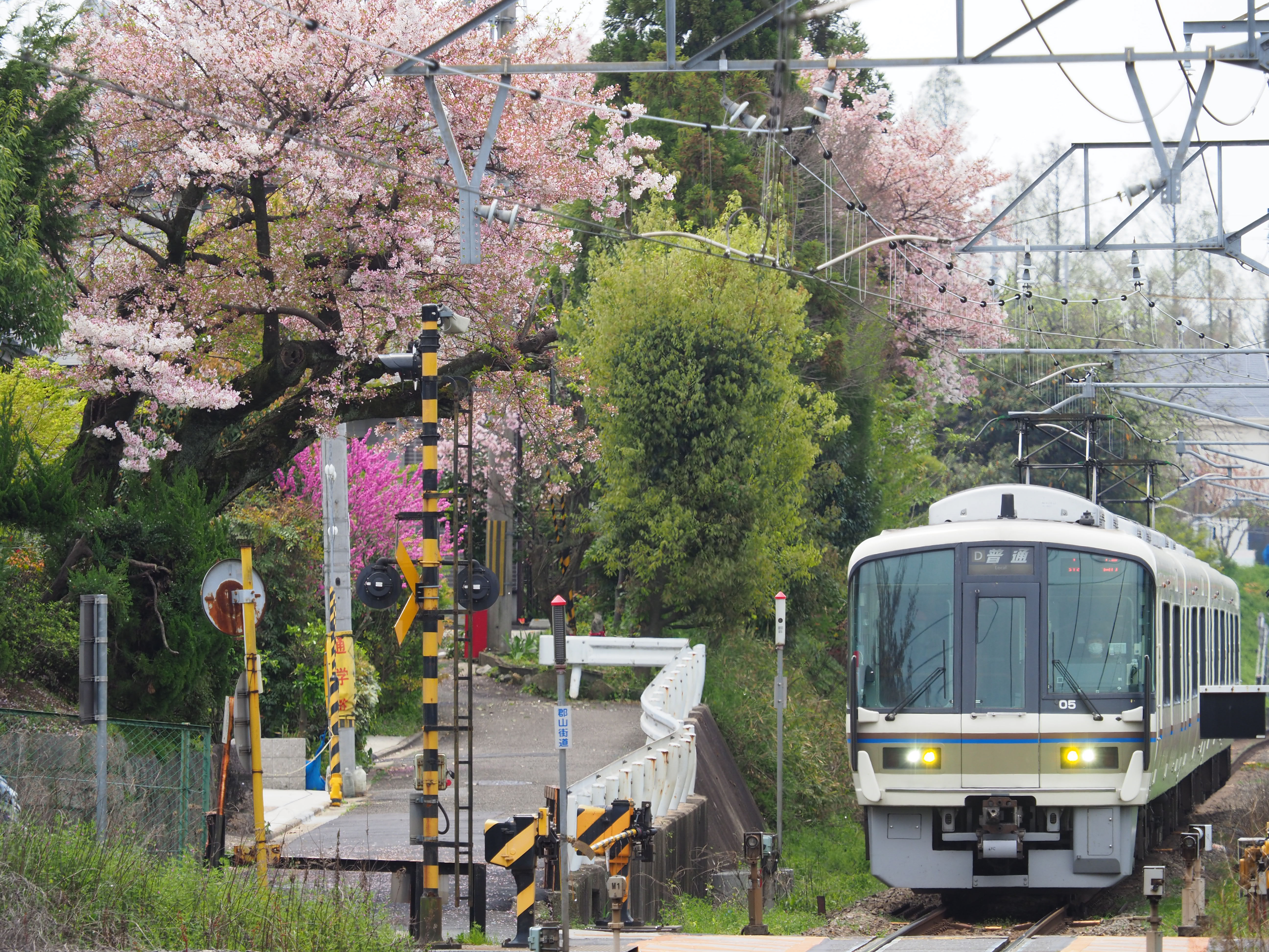 撮影：三橋康弘<br><span class="fnt-85">OLYMPUS OM-D E-M1 Mark II / M.ZUIKO DIGITAL ED 40-150mm F2.8 PRO + Teleconverter MC-14 / 180mm / 絞り優先AE（F4・1/500秒・±0EV） / ISO 200</span>