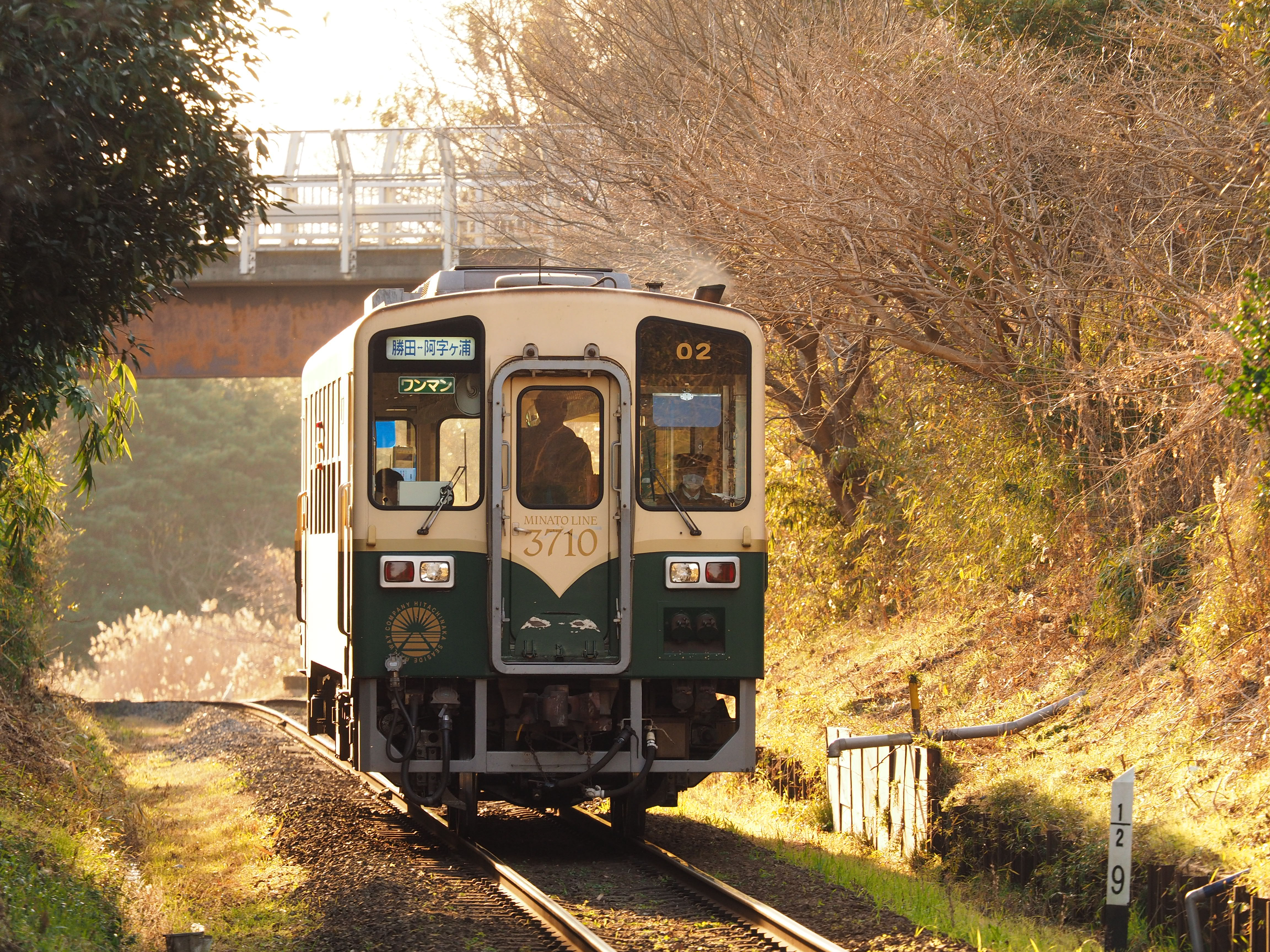 撮影：三橋康弘<br><span class="fnt-85">OLYMPUS OM-D E-M1 Mark II / M.ZUIKO DIGITAL ED 40-150mm F2.8 PRO + Teleconverter MC-14 / 175mm / 絞り優先AE（F5.6・1/160秒・+0.3EV） / ISO 400</span>