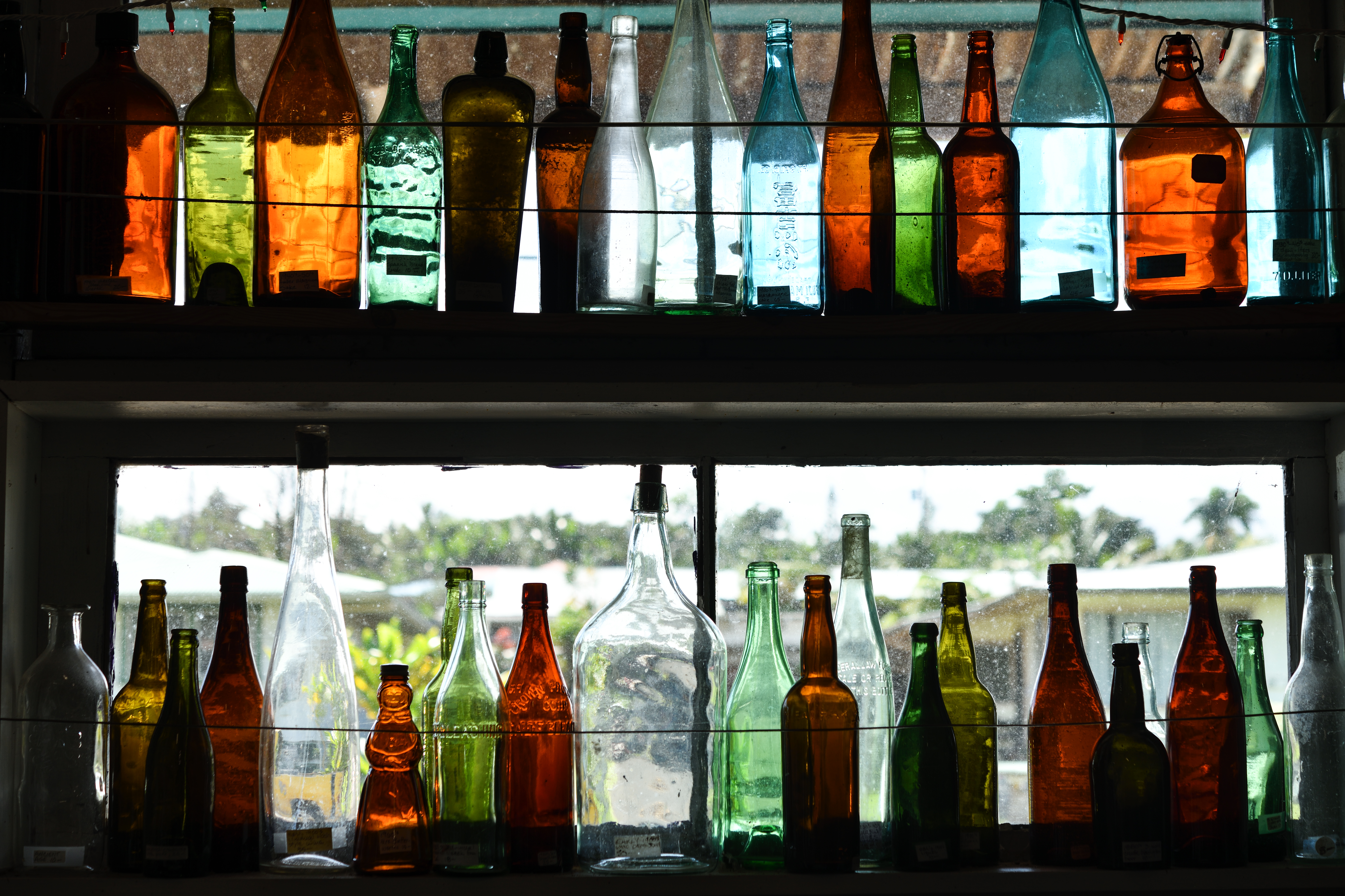 撮影：山口規子<br><span class="fnt-85">ニコン D850 / AF-S Micro NIKKOR 60mm f/2.8G ED / 60mm / マニュアル露出（F5.6・1/200秒） / ISO 100</span>