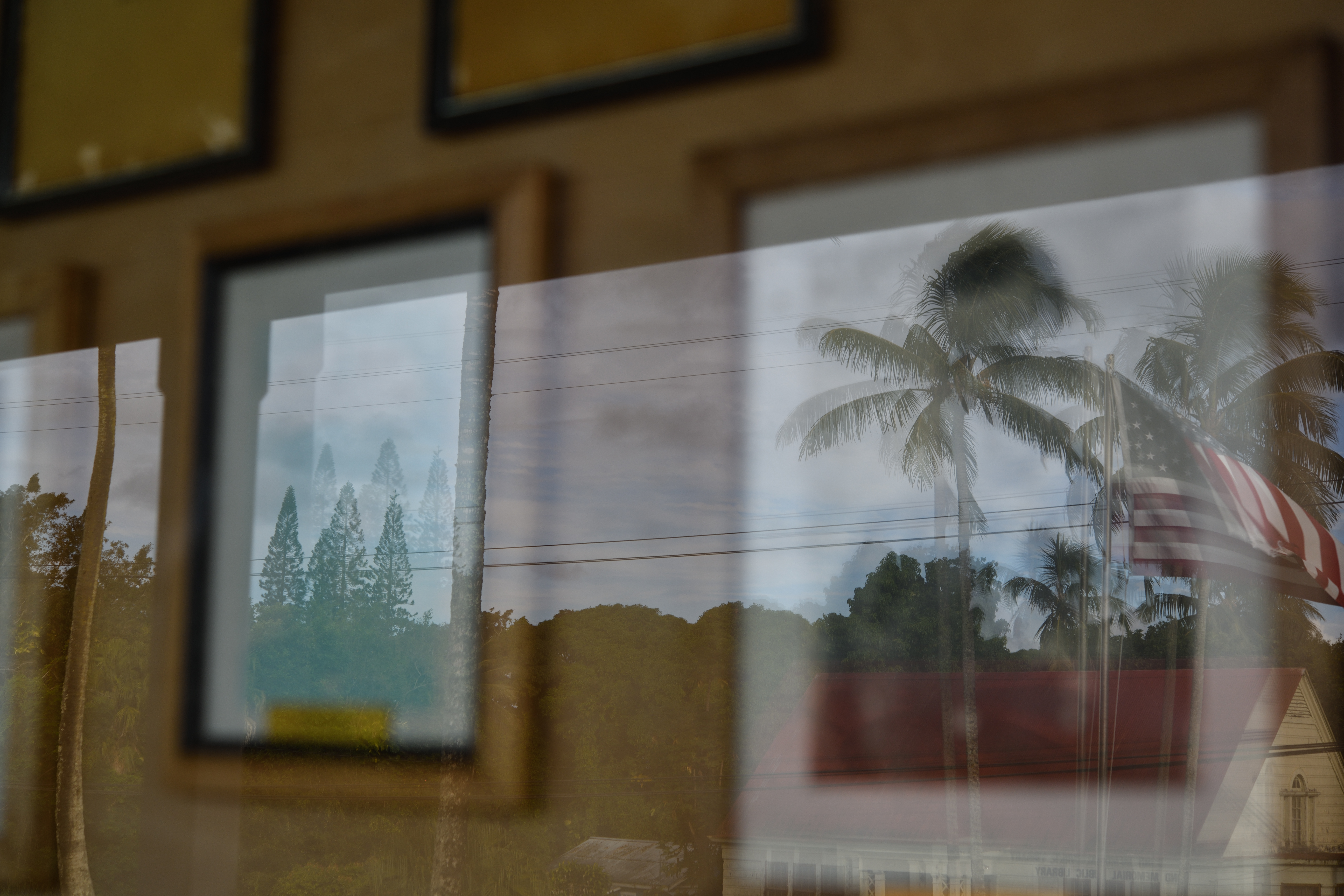 撮影：山口規子<br><span class="fnt-85">ニコン D850 / AF-S Micro NIKKOR 60mm f/2.8G ED / 60mm / マニュアル露出（F5.6・1/200秒） / ISO 100</span>